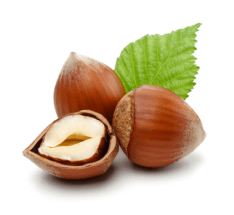 Hazelnut