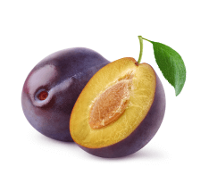 Plum