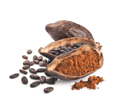 Cacao