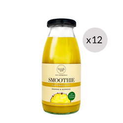 Smoothie ananas & acerola, 250 ml x12